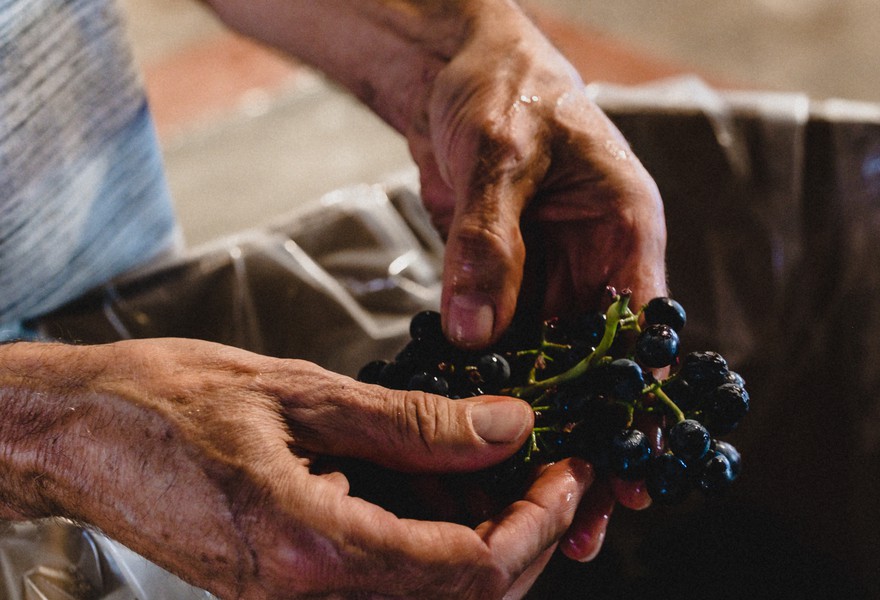 HARVEST_05-09-25
